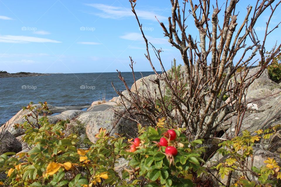 View of idyllic sea