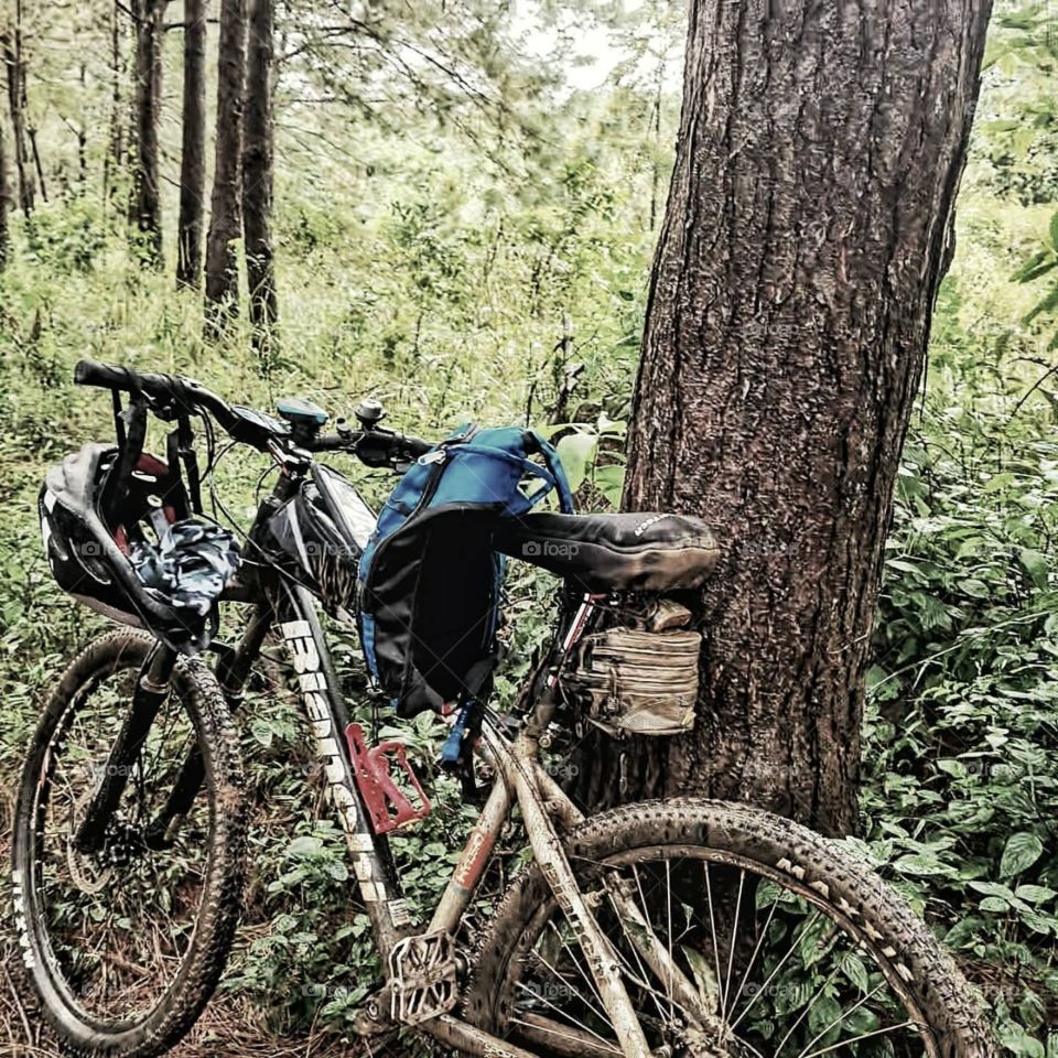 Biking in the forest