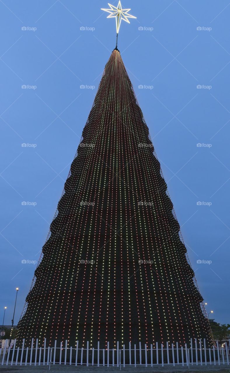 Giant Christmas tree in the center of town