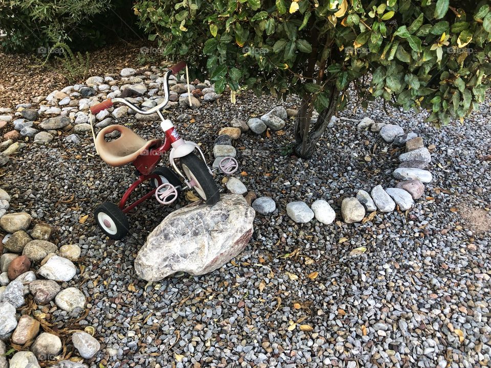 Red tricycle in the yard.   Even toddlers have somewhere to go.