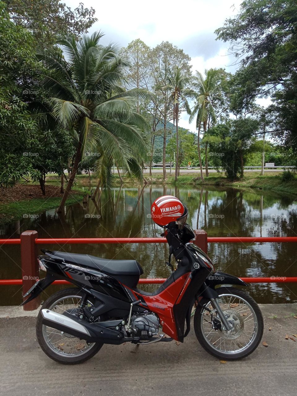 Nature by bike