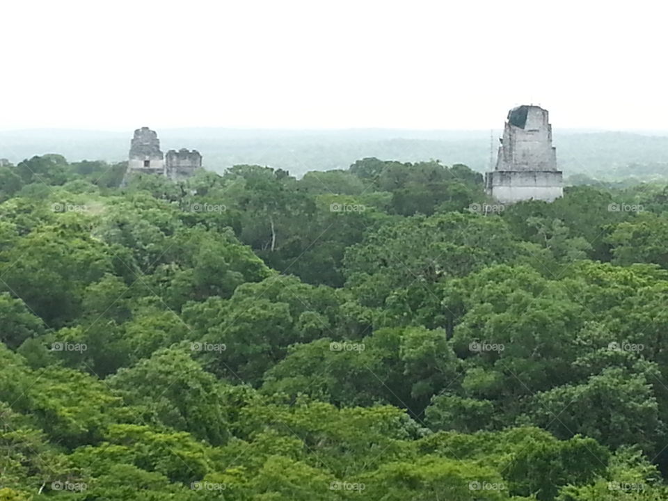 Mayan Temples. Ancient ruins can be seen above the jungle canopy at Tikal in Guatemala