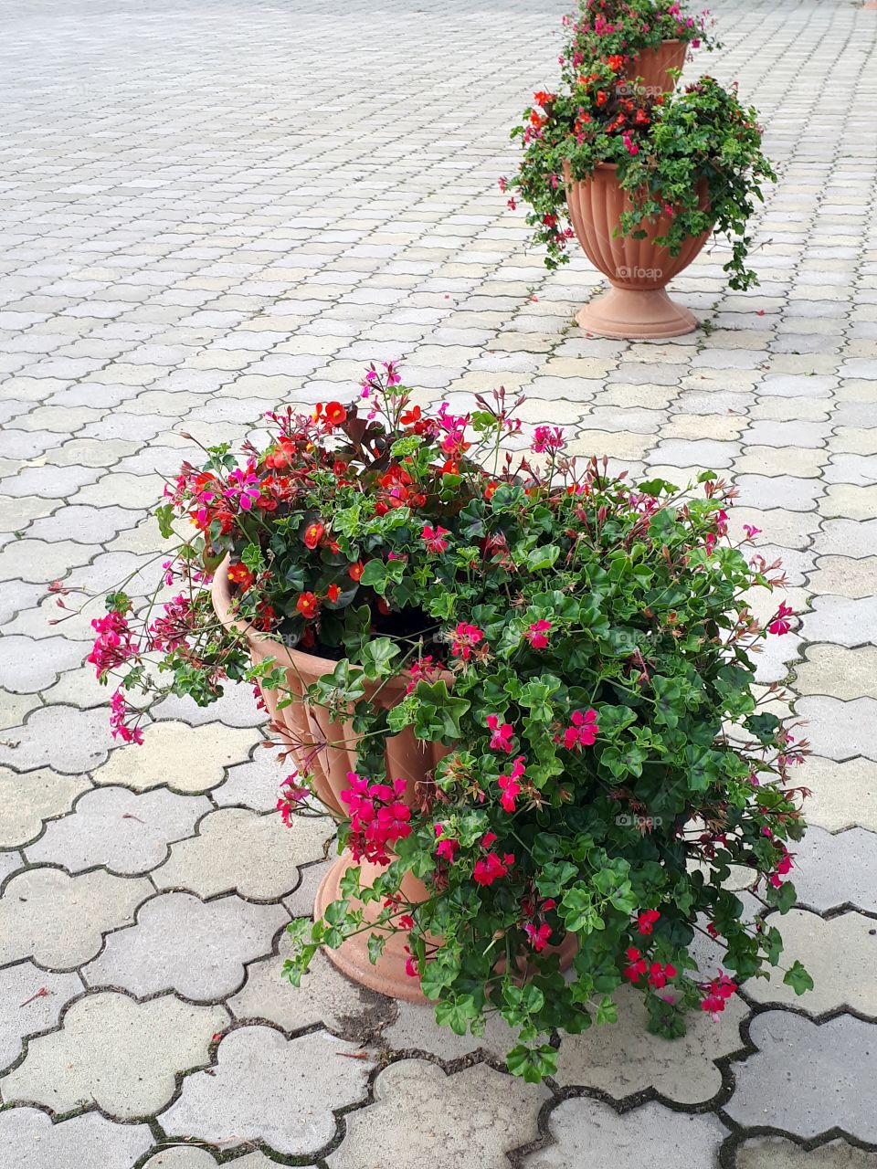 Street flowerpots with flowers