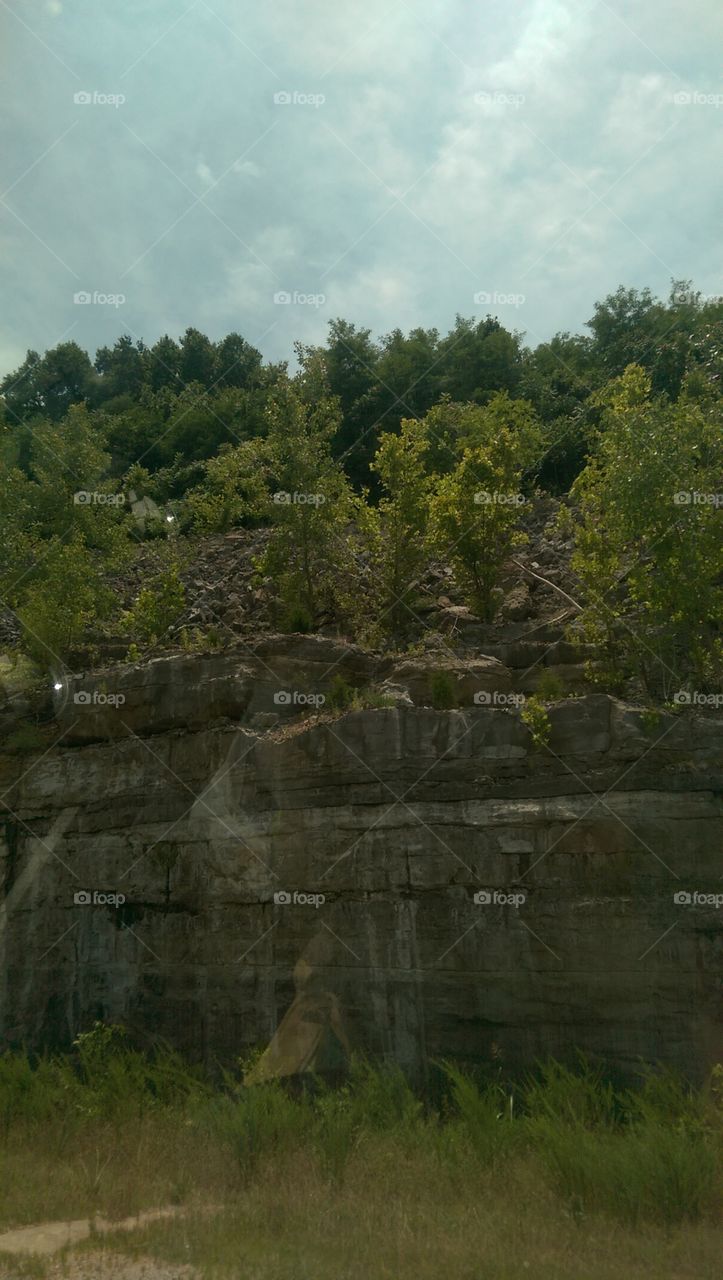 Landscape, No Person, Nature, Outdoors, Tree