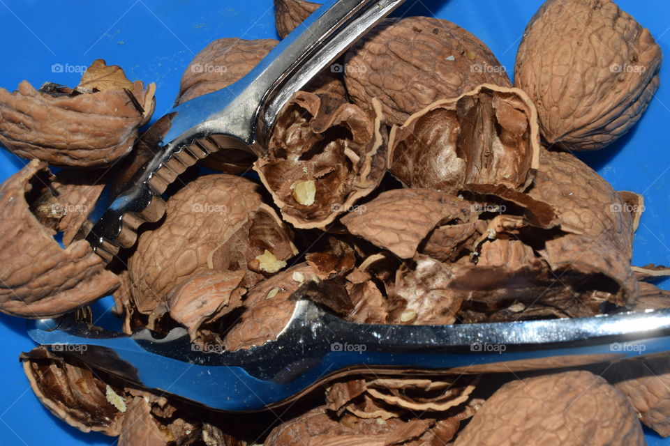 Close-up of a nutcracker crushing walnuts