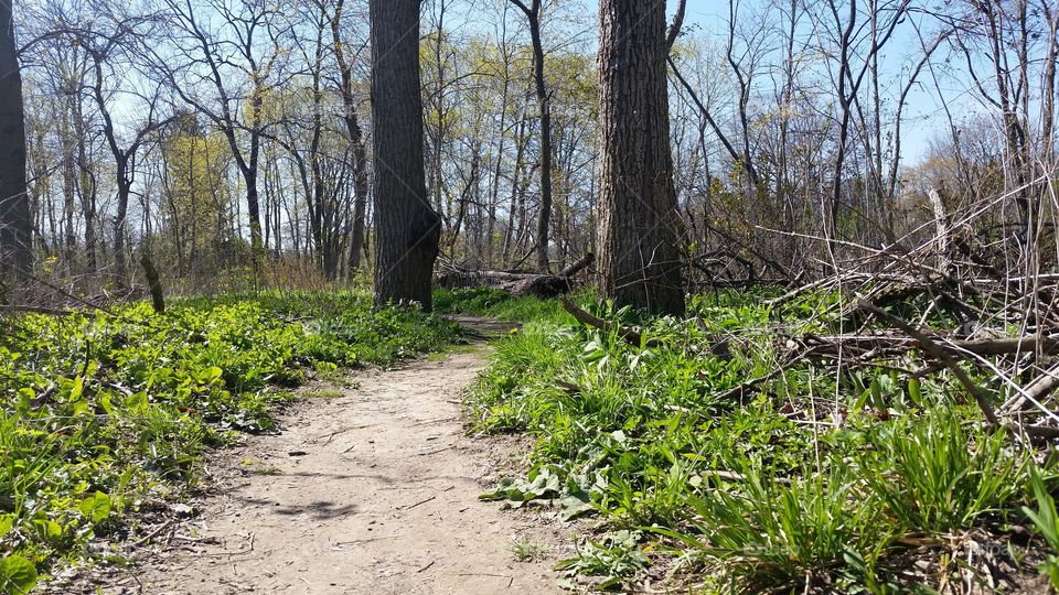 walking on the path