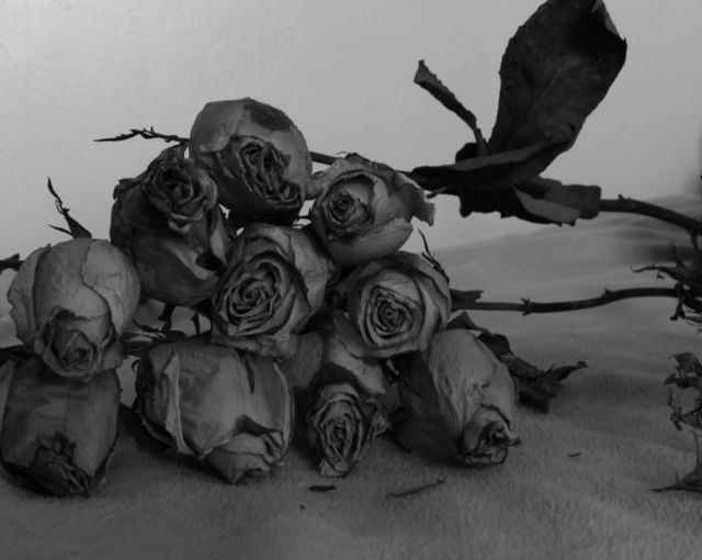 Black & White