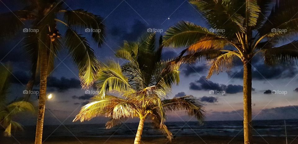 Sri lanka .pandanus brach resort