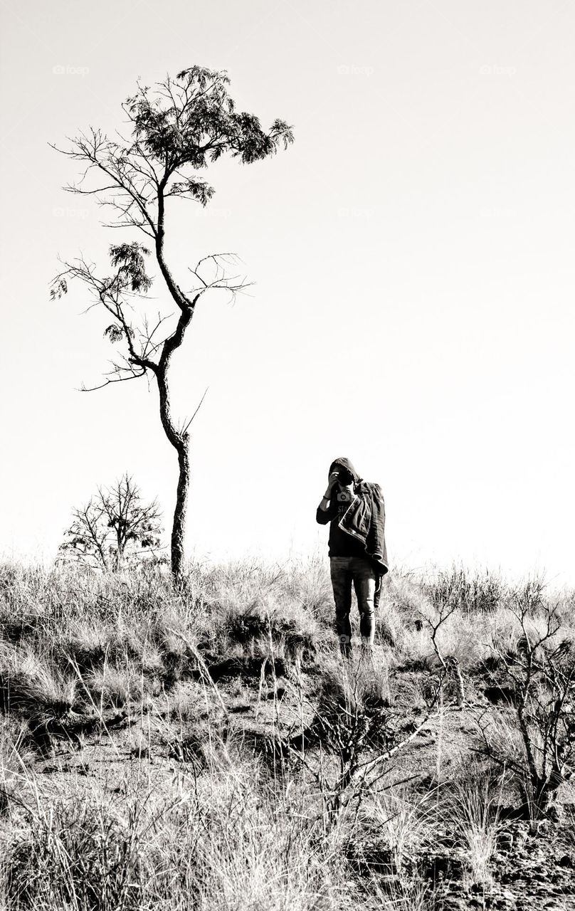 o caçador re imagens