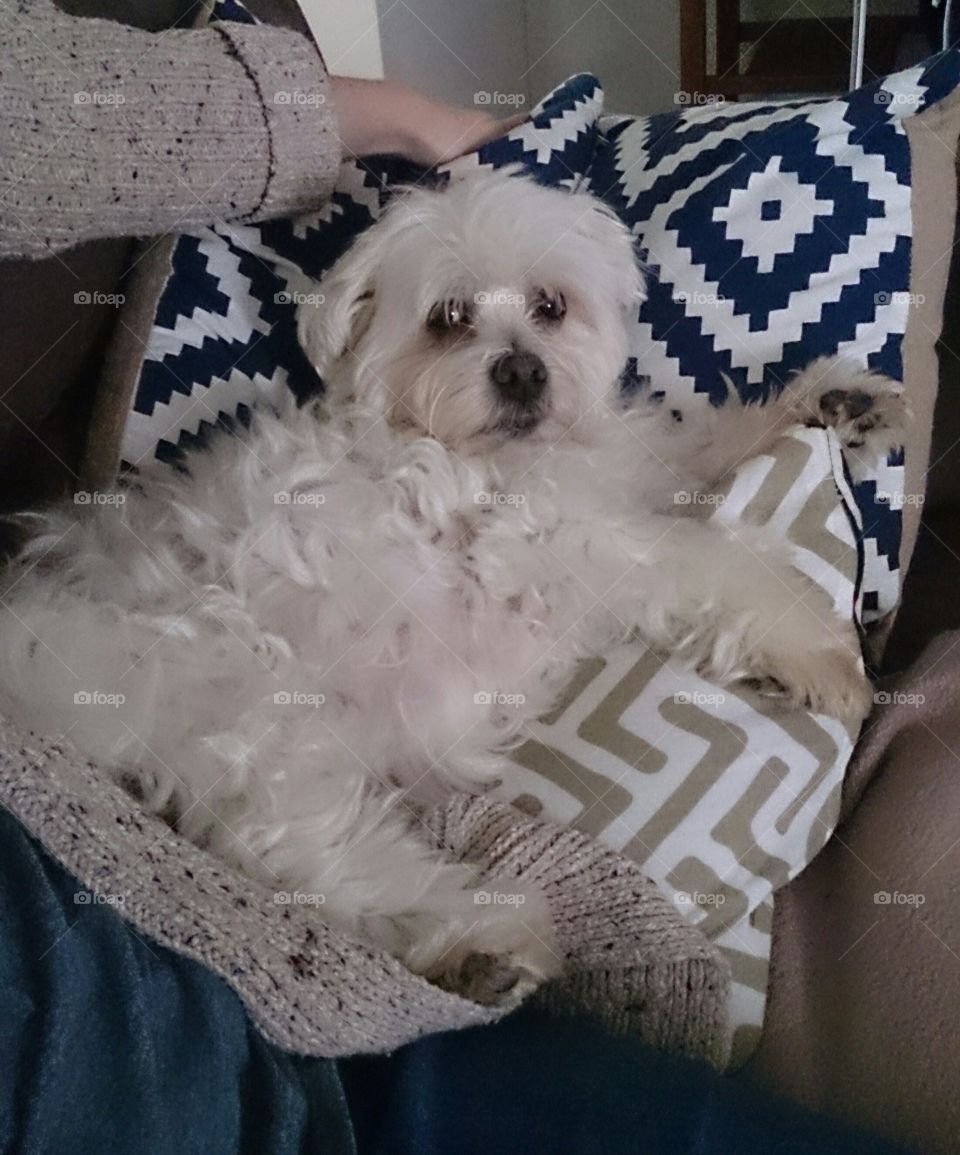 Winter is a time for curling up on the Lounge