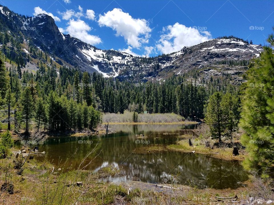 High in our Sierras!