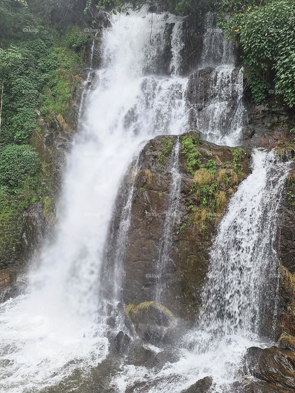 mind soothing waterfall