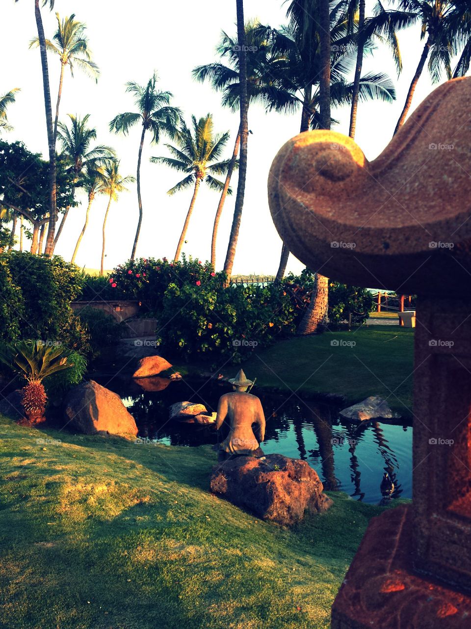 Waiting for a gold fish. Waiting for a gold fish