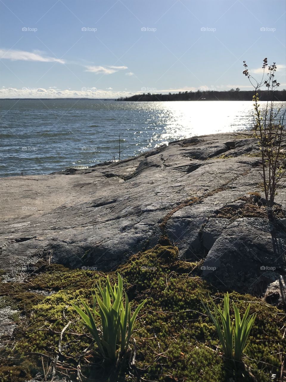 Rocky view near water