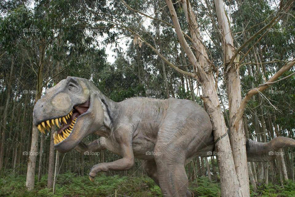 T-rex in a forest of Asturias