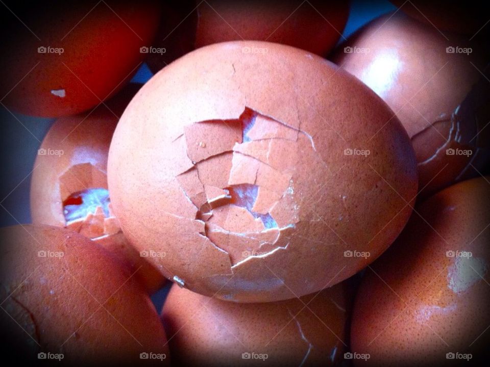 Egg