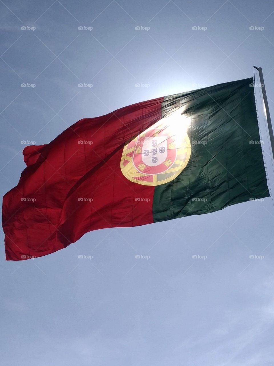 Portugal Flag 
