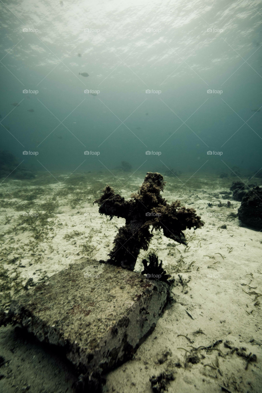philippines cebu underwater scuba by paulcowell