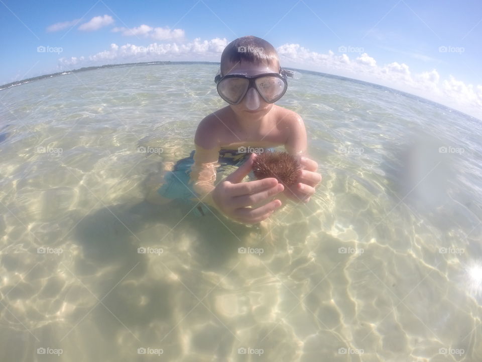 The Diver and his findings