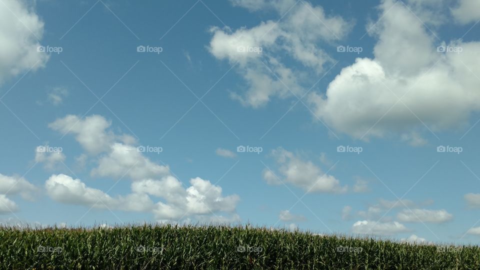 Nature, Landscape, Sky, No Person, Outdoors