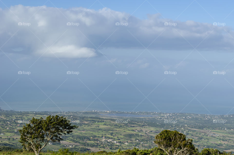 Misty Morning Coastline