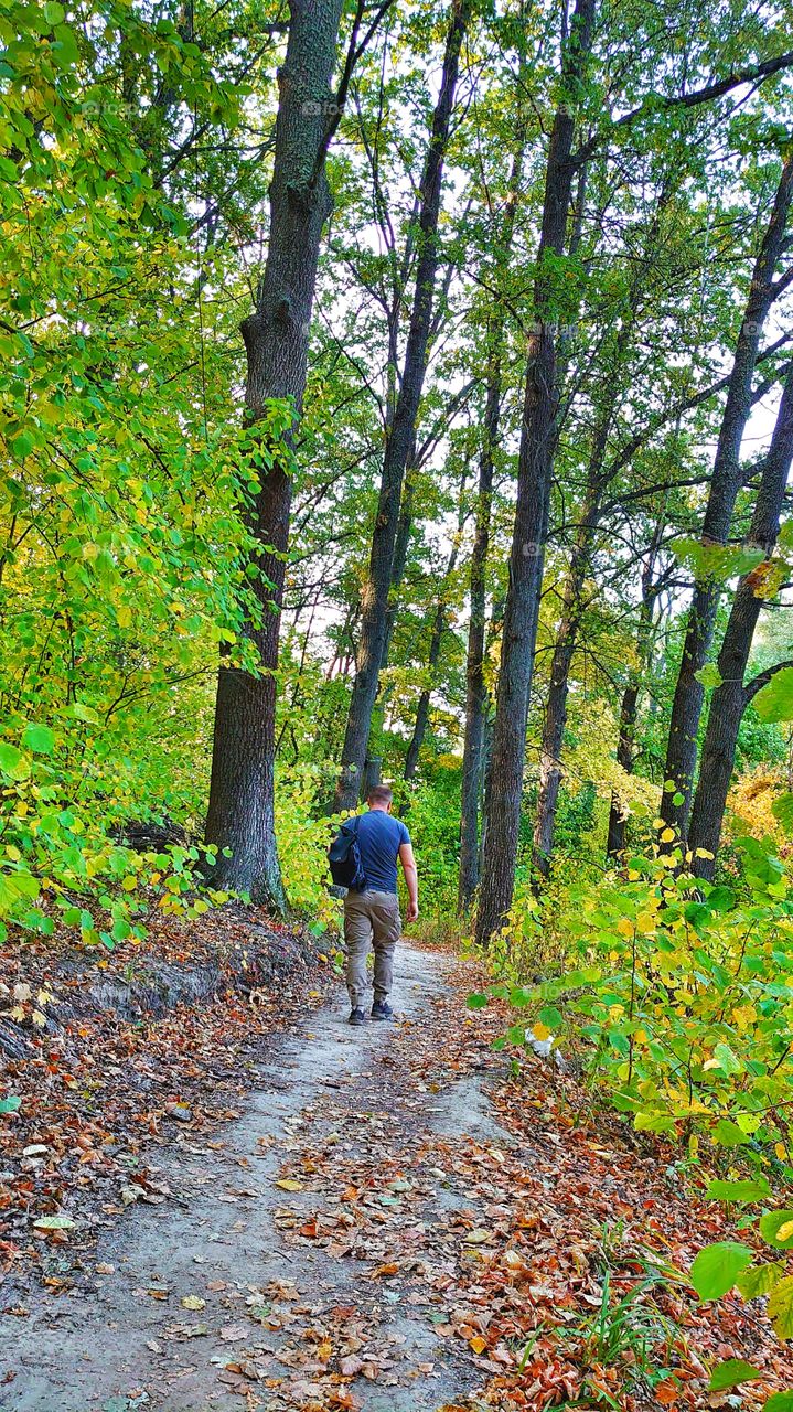 Among such beauty, in the forest, you feel peace, happiness and tranquility. Autumn is a wonderful time of the year. Great play of colors.
