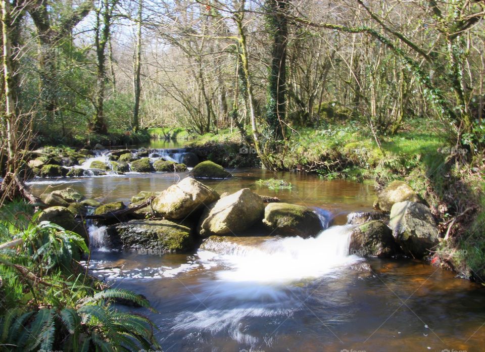 River Bovey