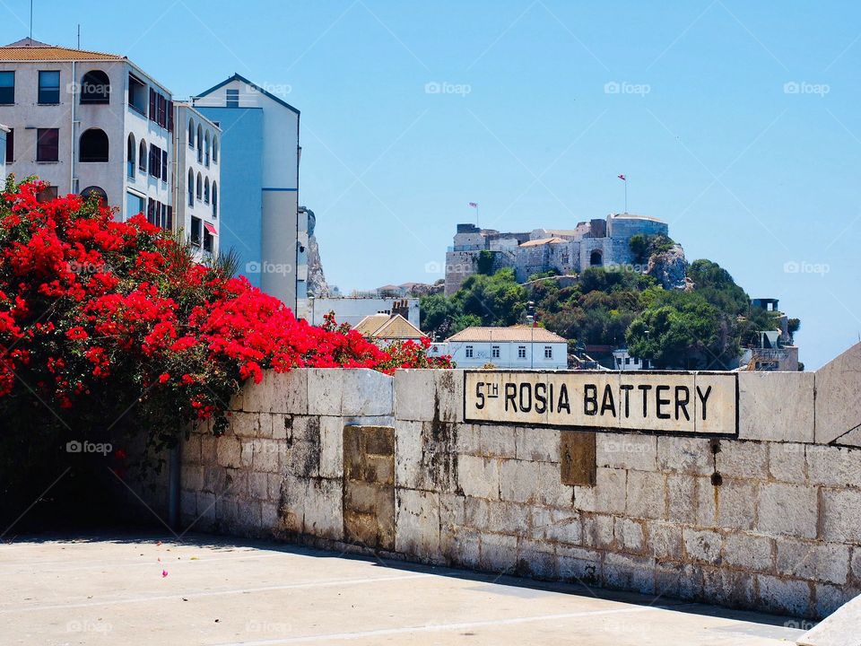 Rosia Battery 