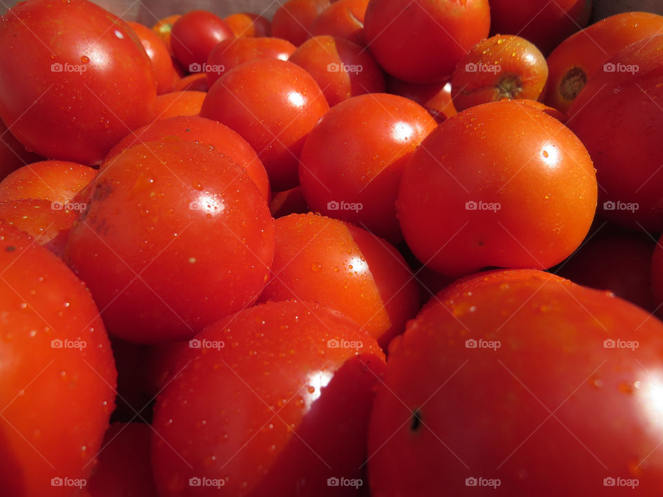 tomatoes