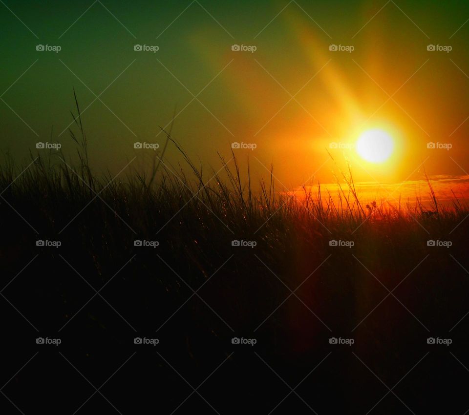 Sunset, Sun, Dawn, Silhouette, Landscape