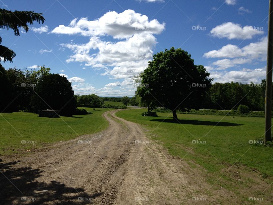 Country farm road towards fields