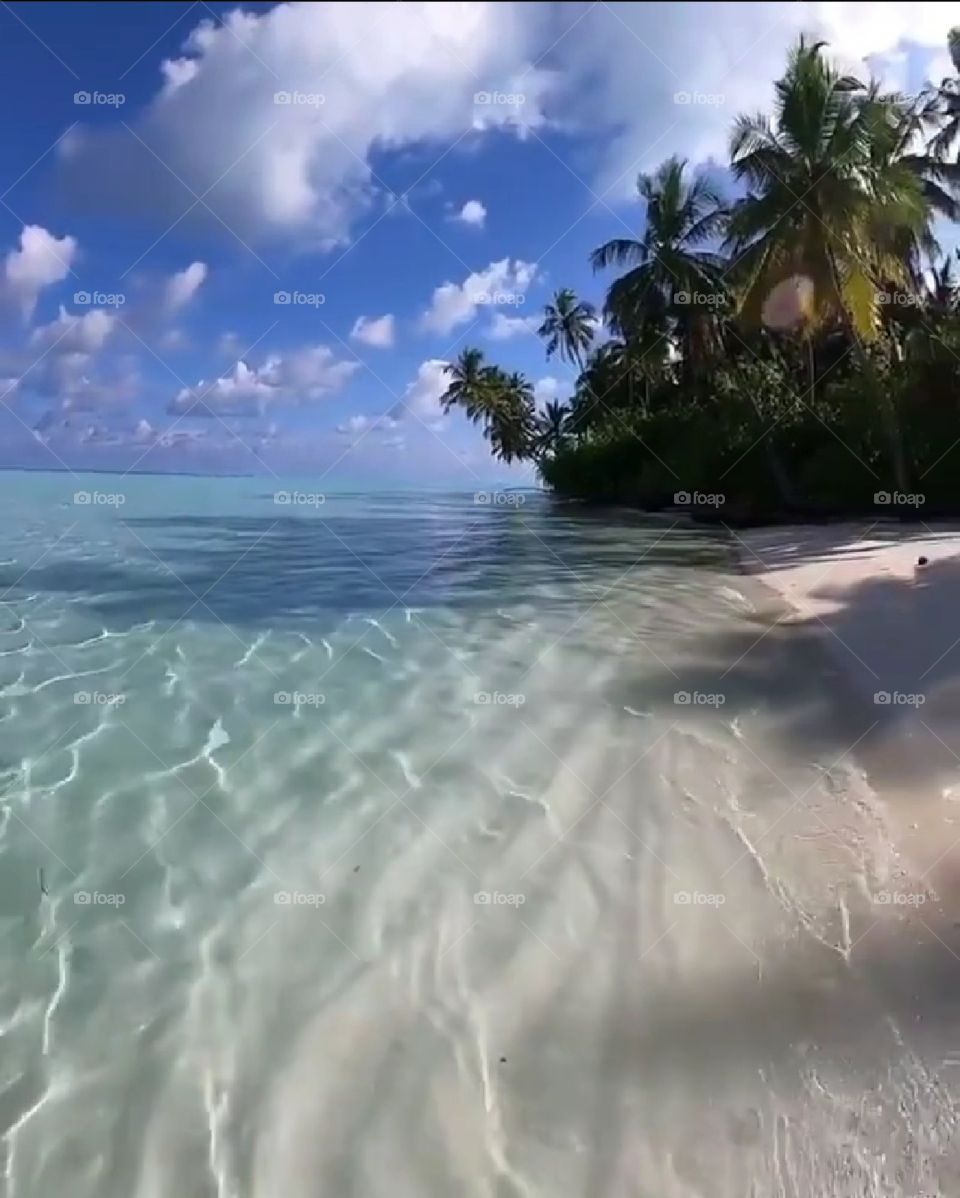Maldive