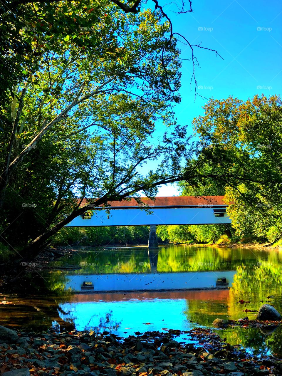 Covered bridge in Indiana 