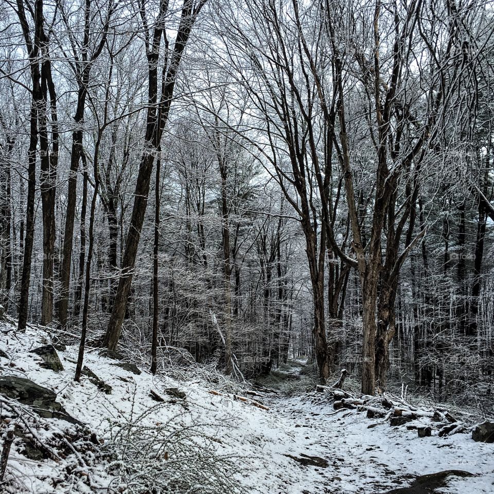 "The healthiest response to life is joy." ~ Deepak Chopra