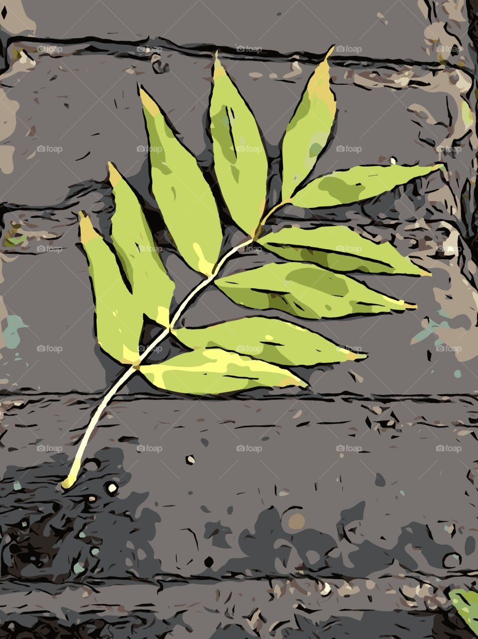Green leaf of ash