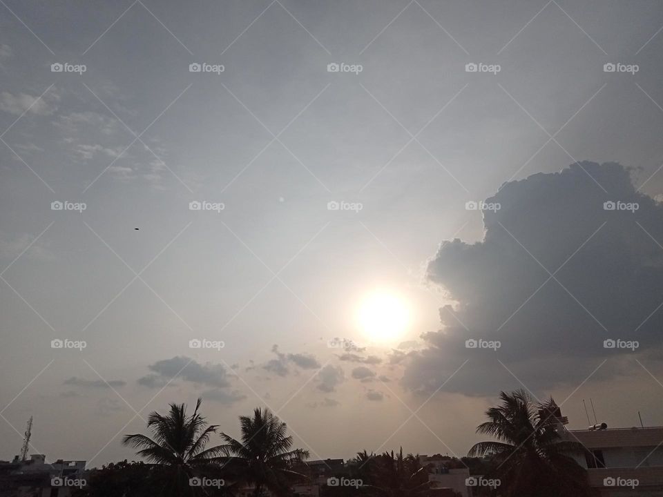 There is something infinitely healing in the repeated refrains of nature—the assurance that dawn comes after night, and spring after winter.