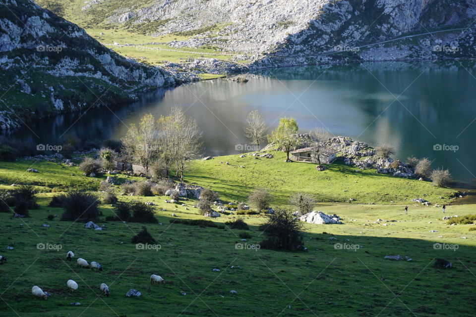 Nature#lake#greengrass#vegetation#mountains