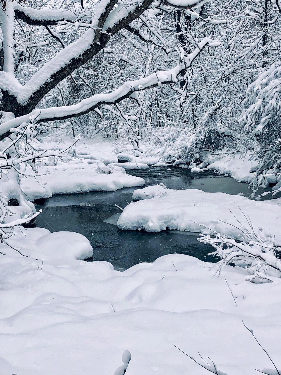 Winter snow scenes