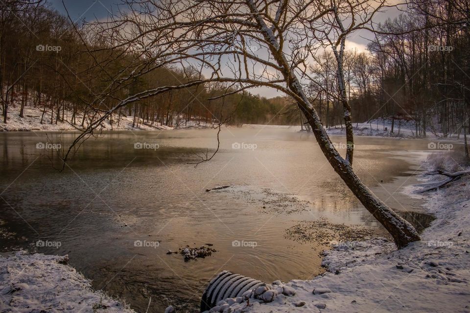 Punxsutawney Phil said more winter. So, here’s to more snow and ice. 