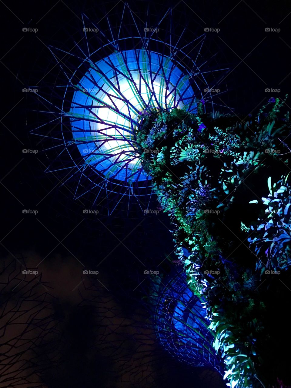 Super tree Gardens by the Bay 