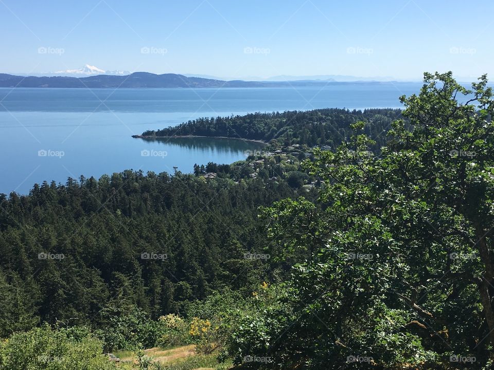 The ocean from above surrounded by the wood