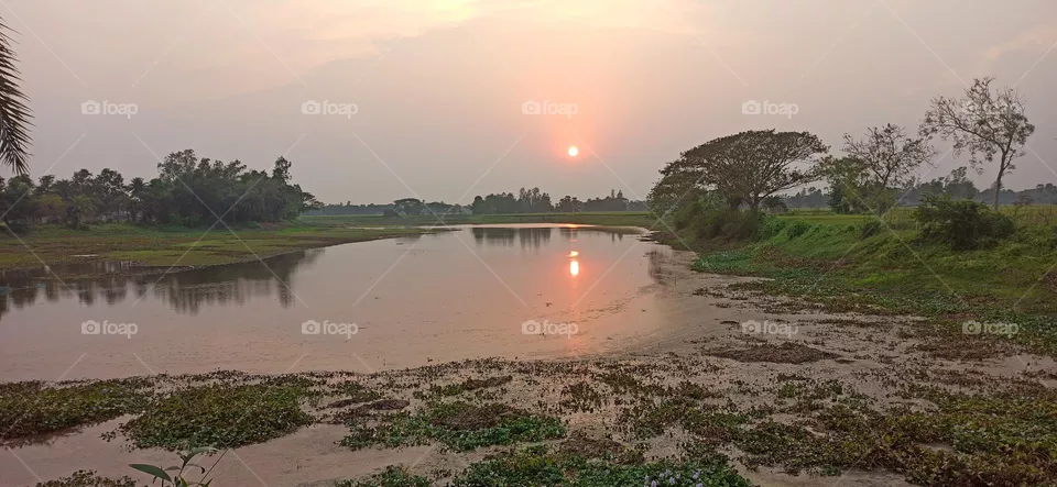 Sunset