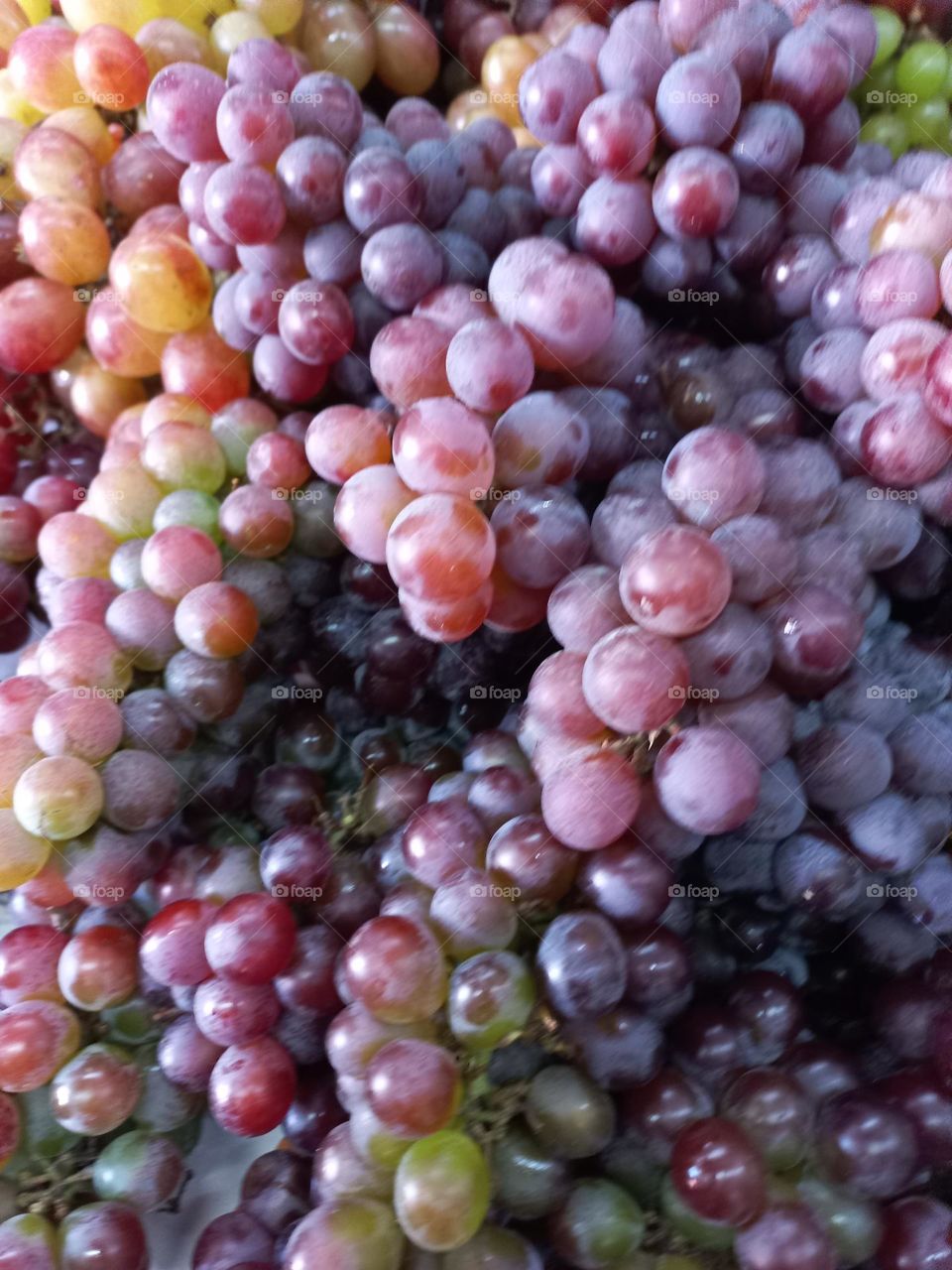 Uvas belas, doces e saborosas. A uva pode ser consumida ao natural, com casca e sementes ou ainda, pode ser usada em preparações,  como sucos, doces, saladas, picolé, sorvetes, geleias, gelatinas, mouse e na fabricação  de vinhos.