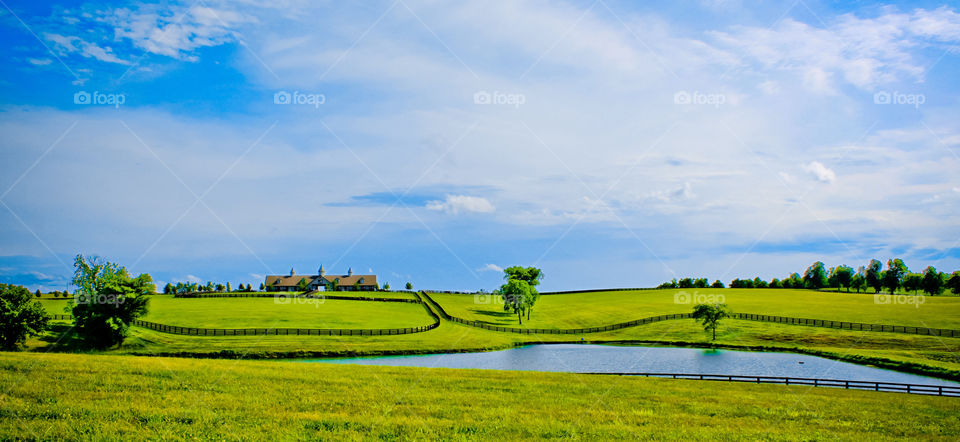 Horse Farm Landscape