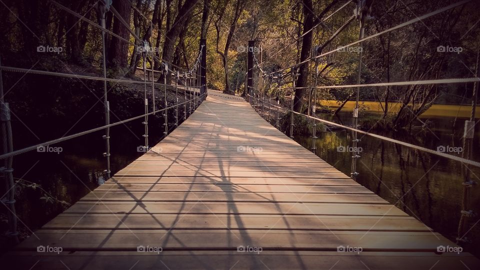 Small bridge. Small wood bridge