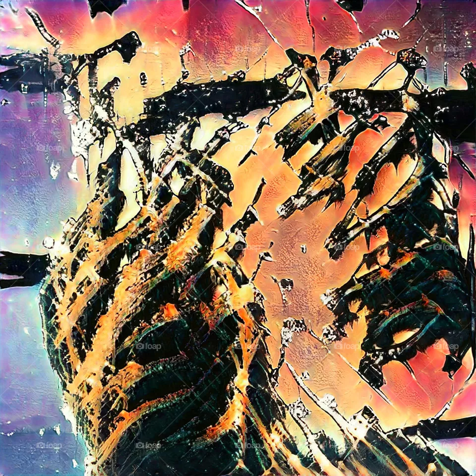 Fire of colors