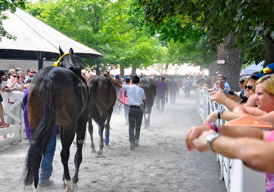 Saratoga 150. Celebrating 150 years of tradition, history and horses, Saratoga comes alive every July with the "Call to the Post
Gz