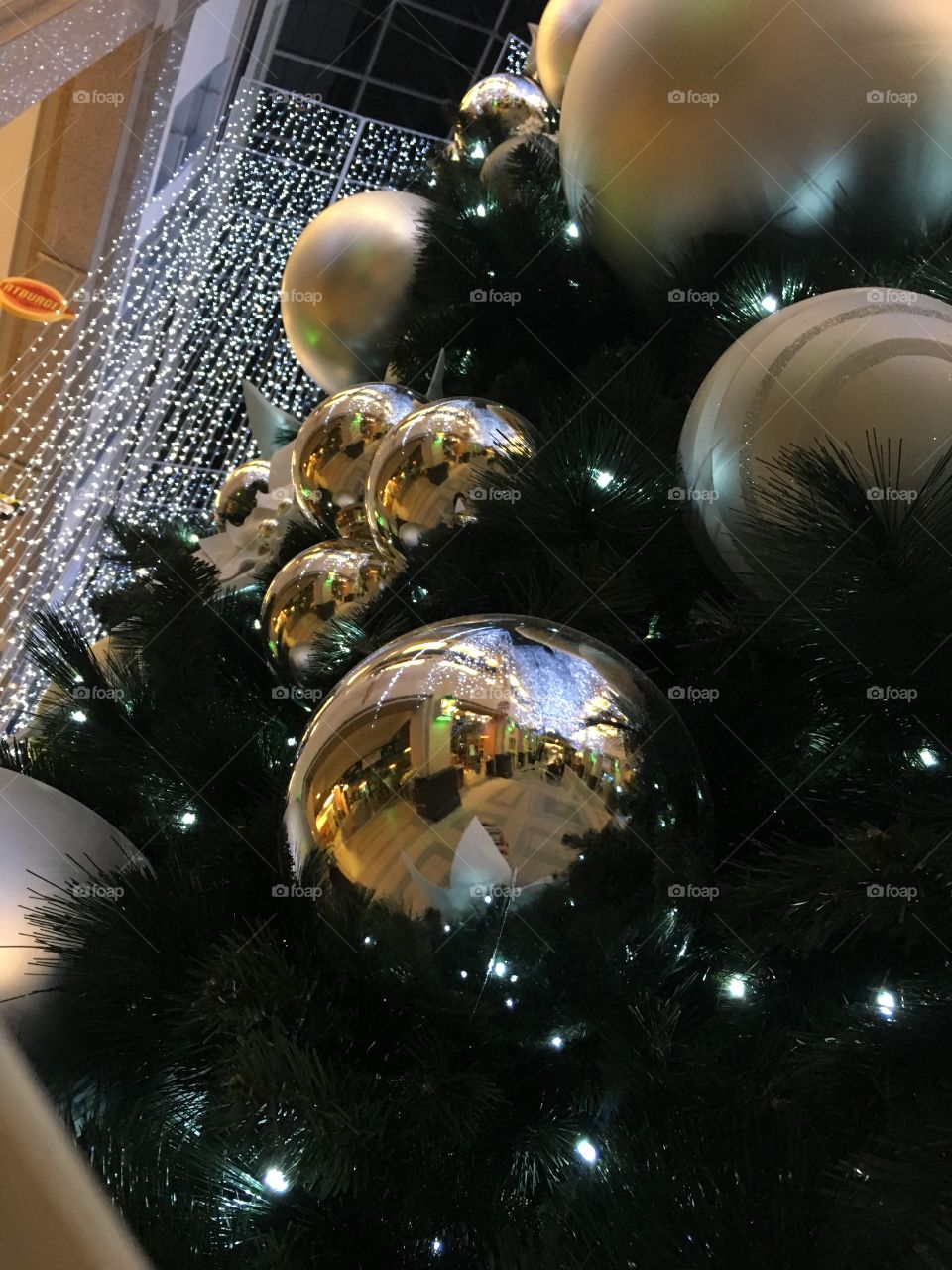 Christmas reflection. Closeup of a gigantic Christmas tree