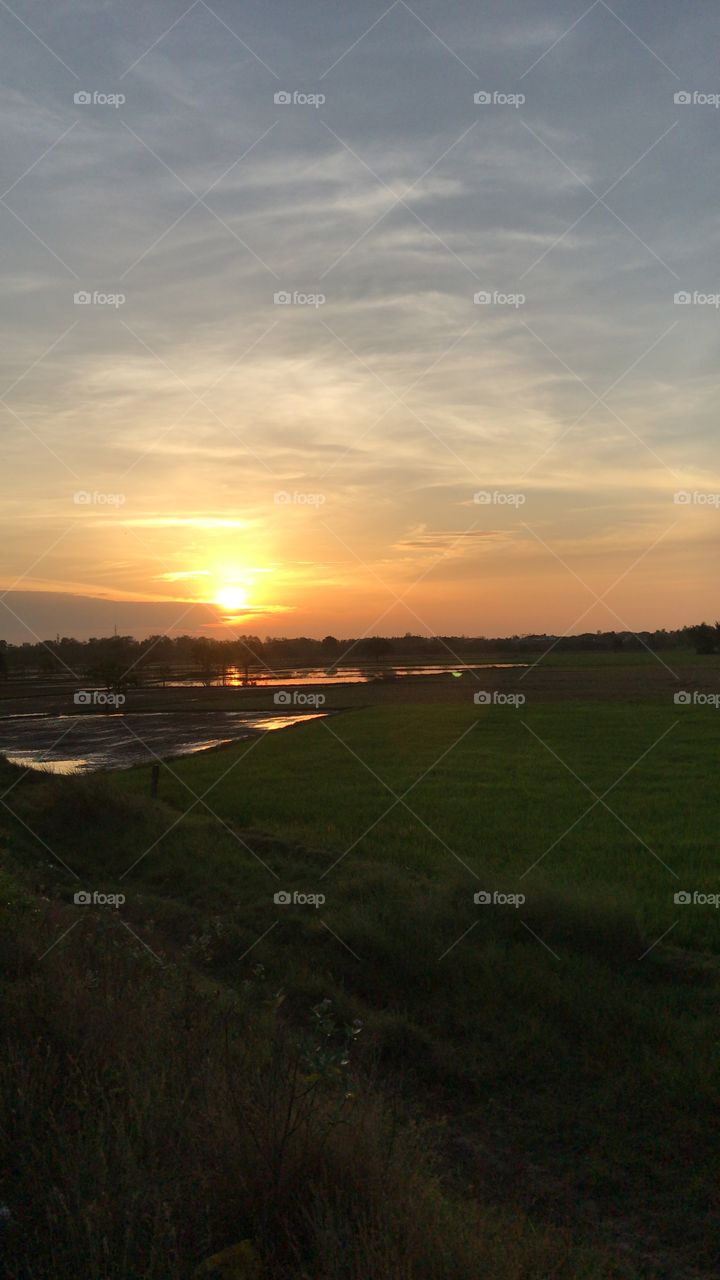 Beautiful sunrise scenery from the rice field 