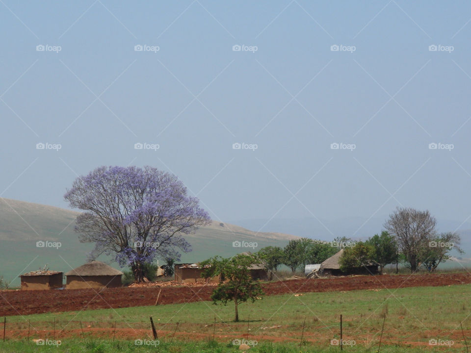 violett safari round south africa by Bea